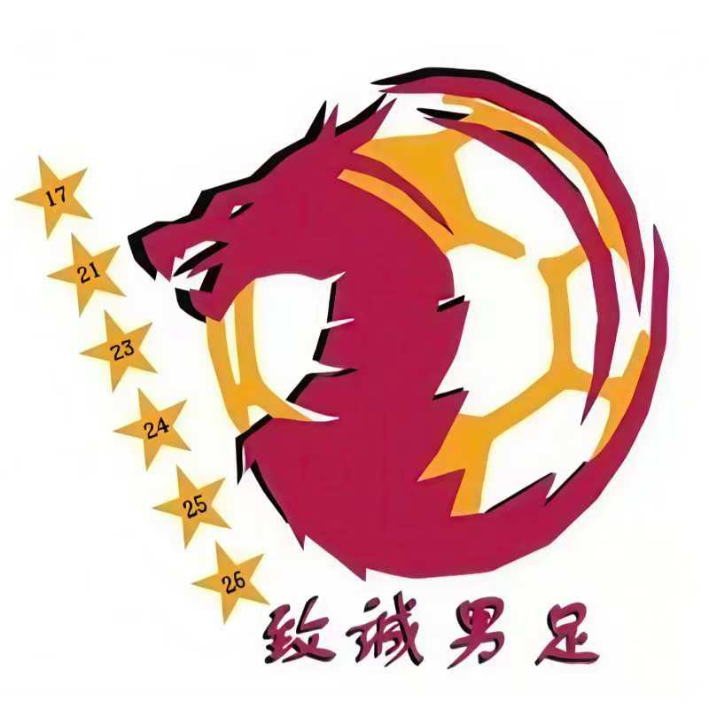 Zhicheng College Football Team logo